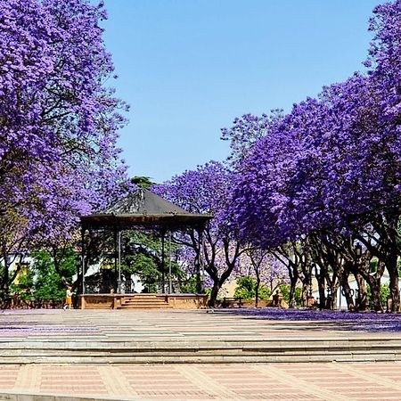 Апартаменти Alazan Jerez Iv-Parking Gratis-Wifi-Netflix Херес-де-ла-Фронтера Екстер'єр фото