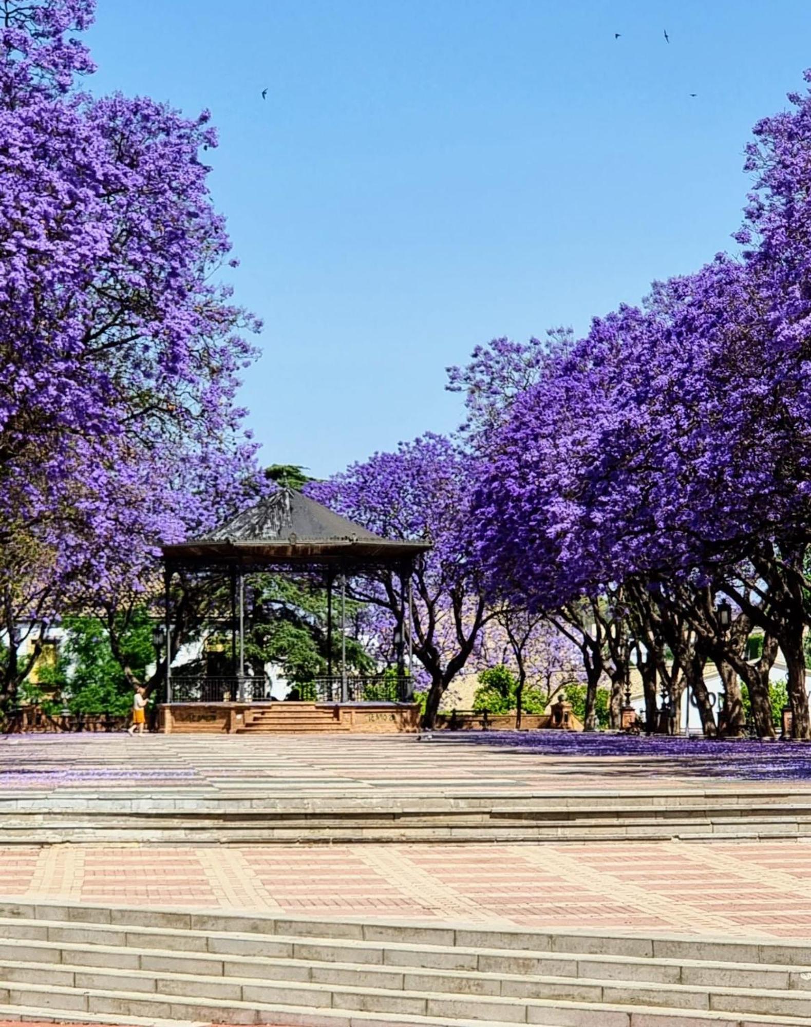 Апартаменти Alazan Jerez Iv-Parking Gratis-Wifi-Netflix Херес-де-ла-Фронтера Екстер'єр фото