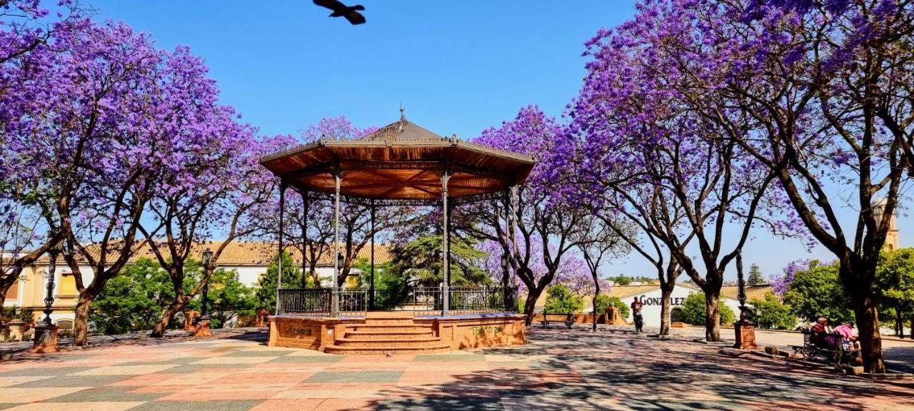 Апартаменти Alazan Jerez Iv-Parking Gratis-Wifi-Netflix Херес-де-ла-Фронтера Екстер'єр фото